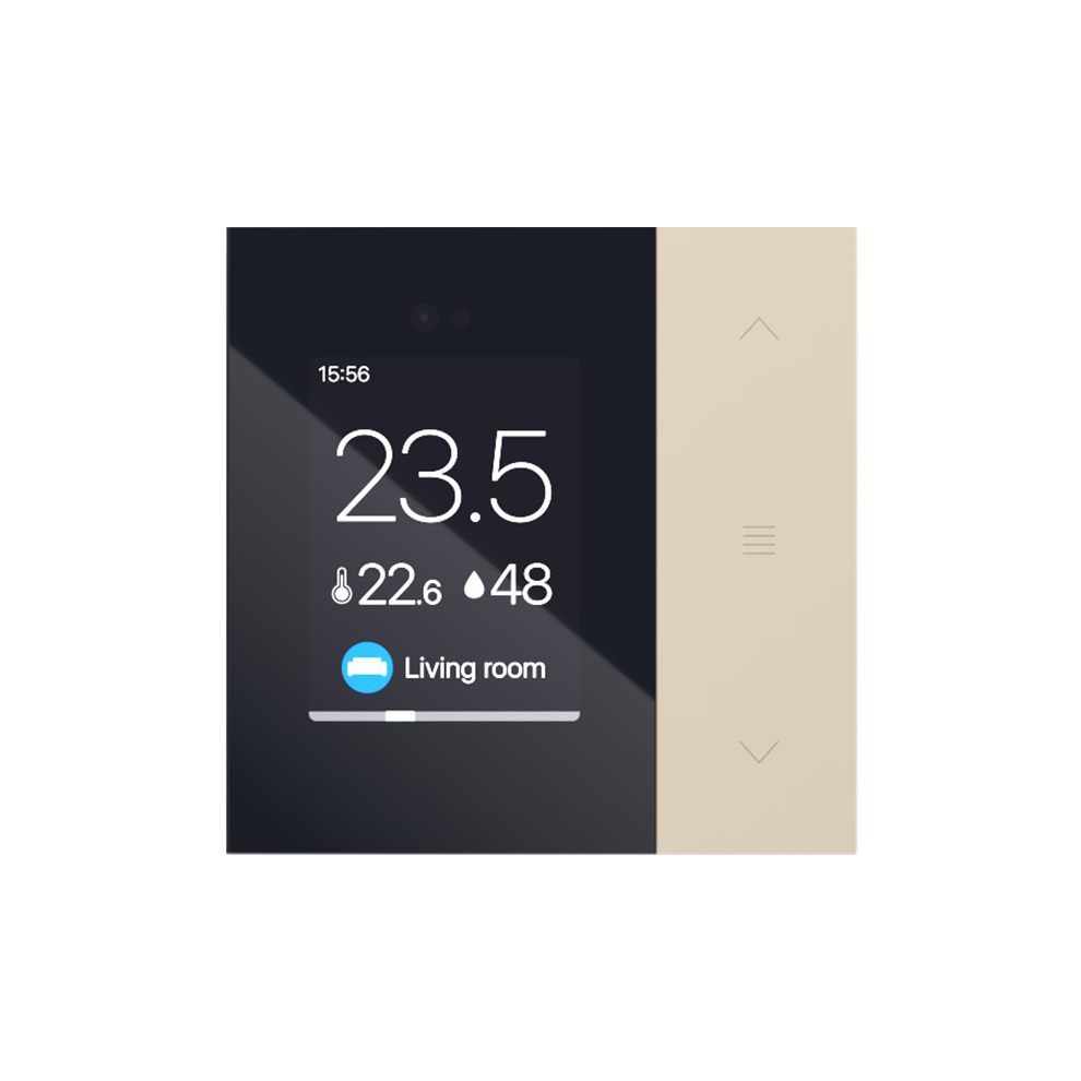 Controller with display