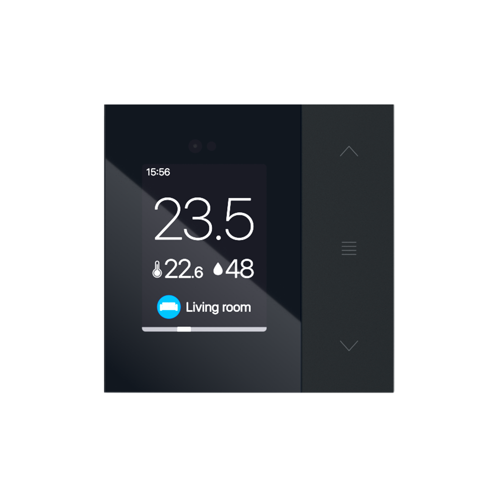 Controller with display