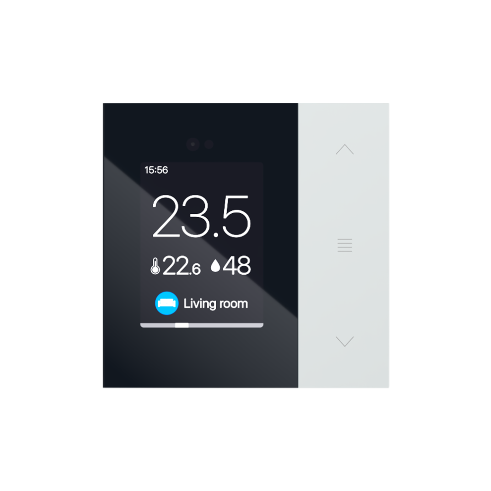 Controller with display